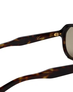 Chimi Eyewear Caine Tortoise Solbriller Brun