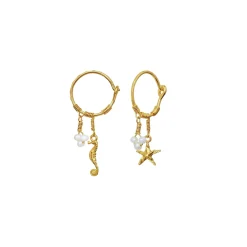 Maanesten Momi Earrings Øredobber Gull