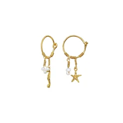 Maanesten Momi Earrings Øredobber Gull