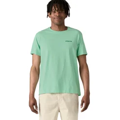 Patagonia Fitz Roy Icon Responsibili-Tee T-shirt Lysegrønn